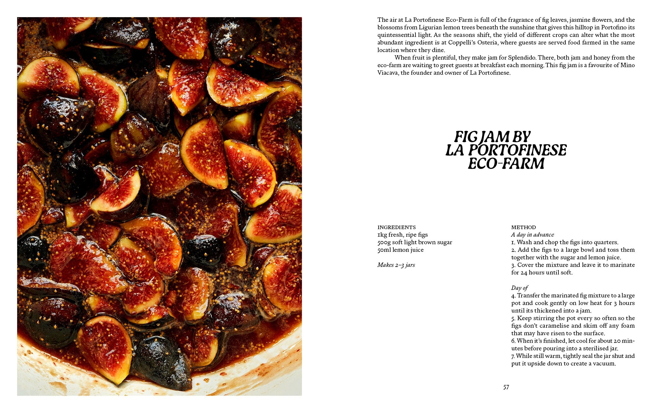 LIGURIA: Recipes & Wanderings Along the Italian Riviera