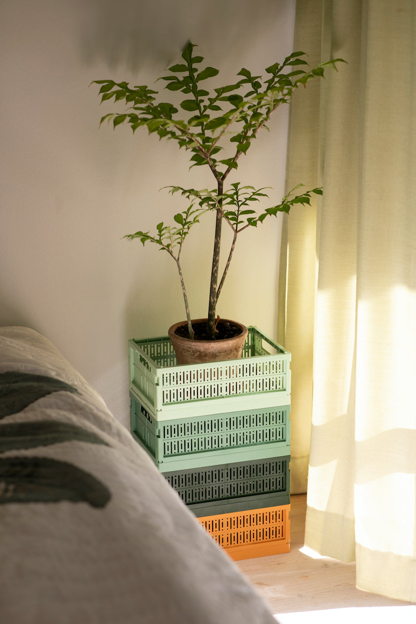 Box midi spring green