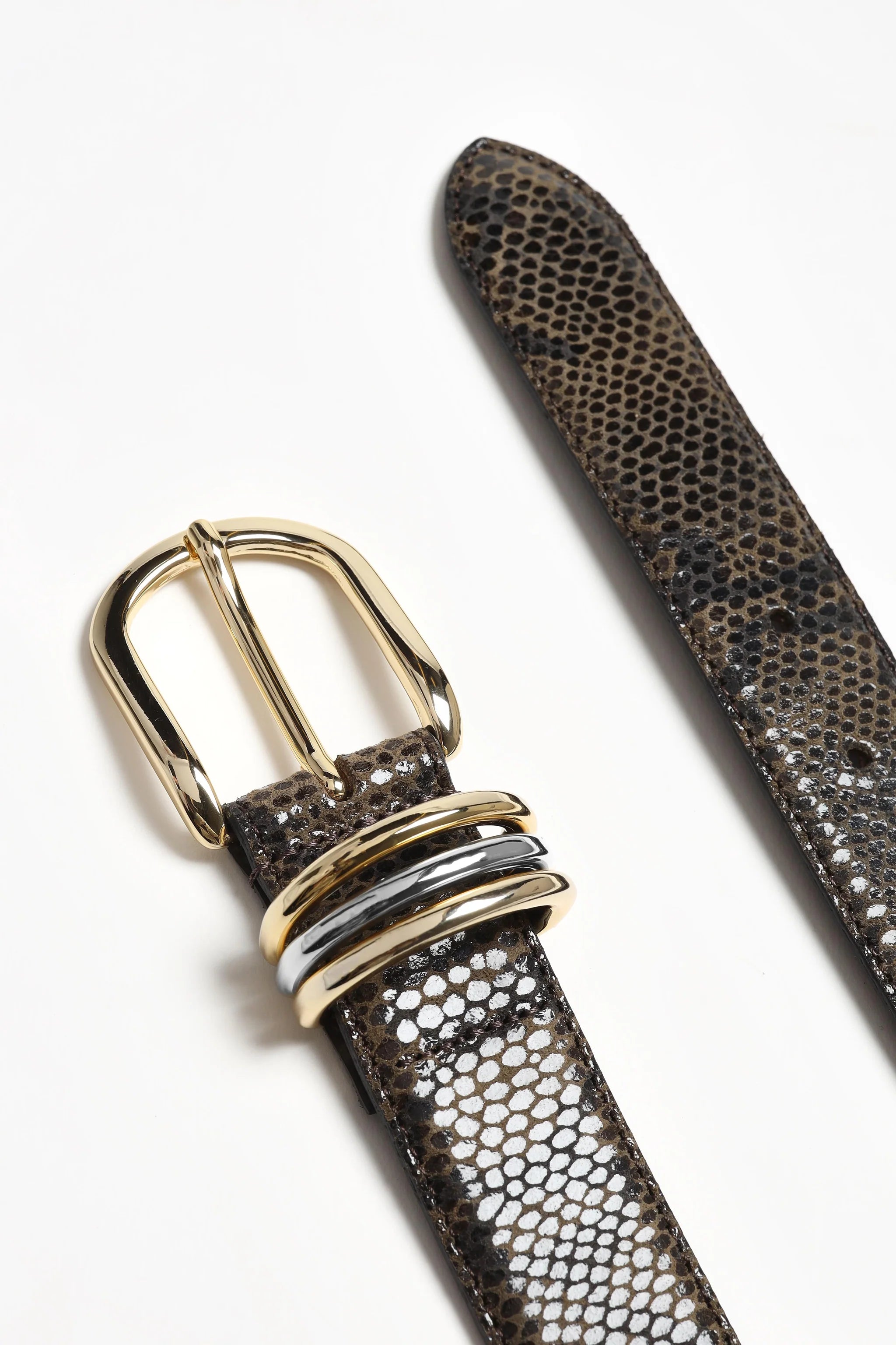 Velin Belt brown snake