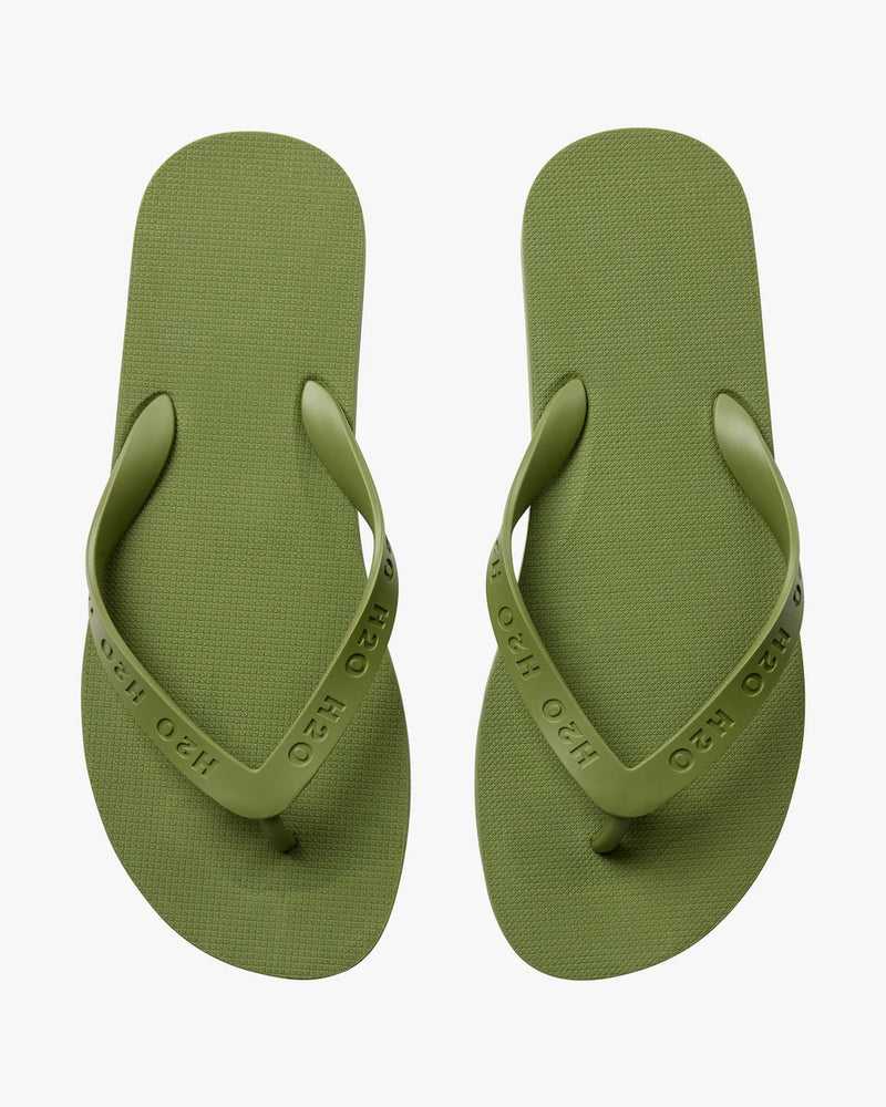 Flip Flop grasshopper