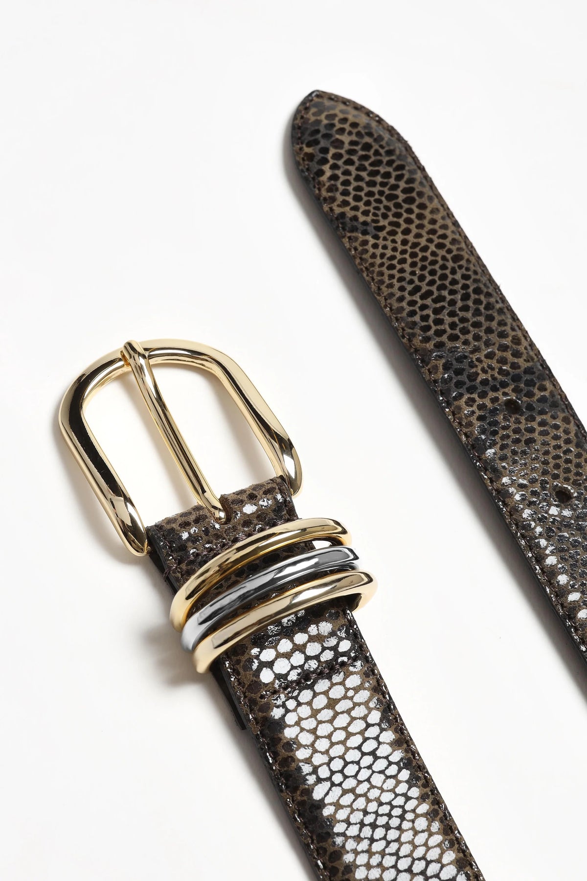 Velin Belt brown snake