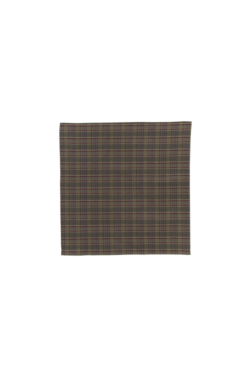 Pluie Scarf green/red check