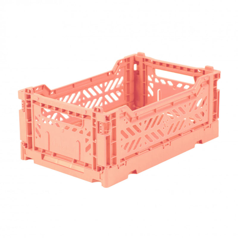 Box mini salmon