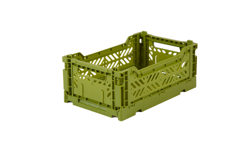 Box mini olive
