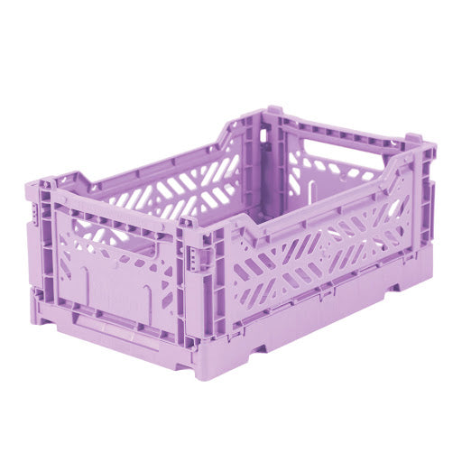 Box mini orchid